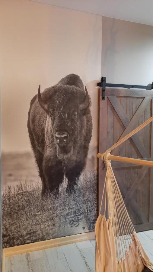 Zagroda W Puszczy Białowieża Exteriör bild