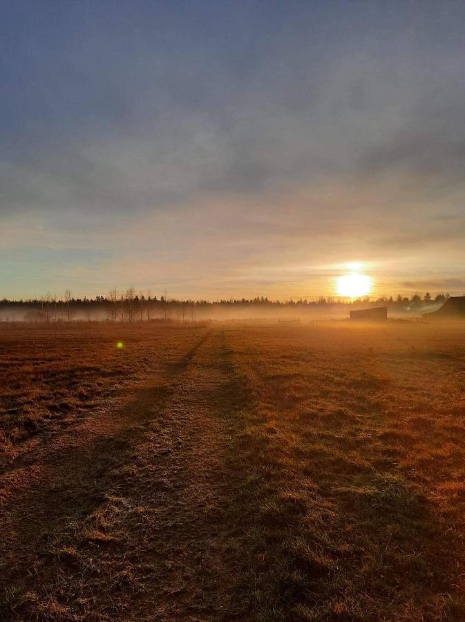 Zagroda W Puszczy Białowieża Exteriör bild