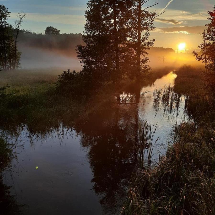 Zagroda W Puszczy Białowieża Exteriör bild