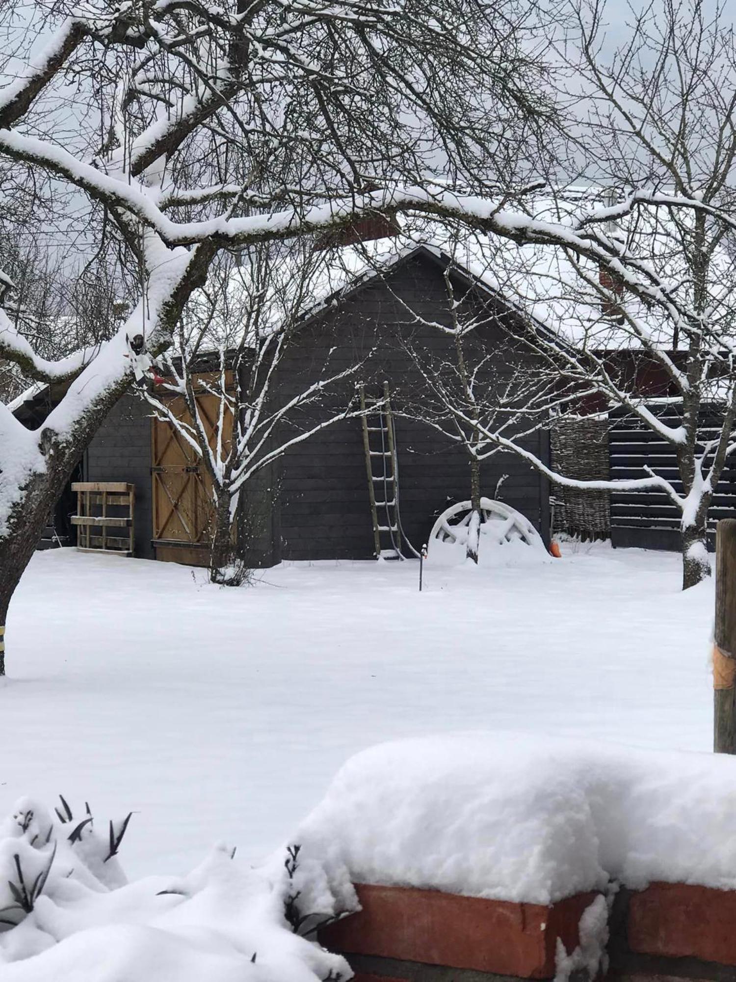 Zagroda W Puszczy Białowieża Exteriör bild
